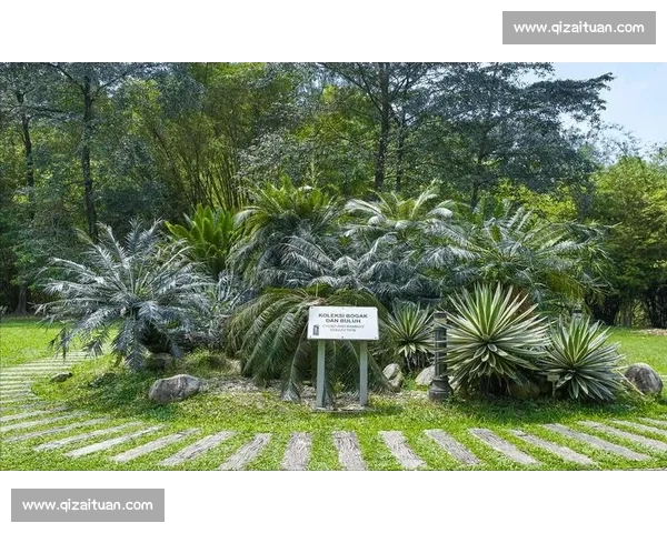 金杯赛非洲独苗：南非 2005 年的跨洋之旅