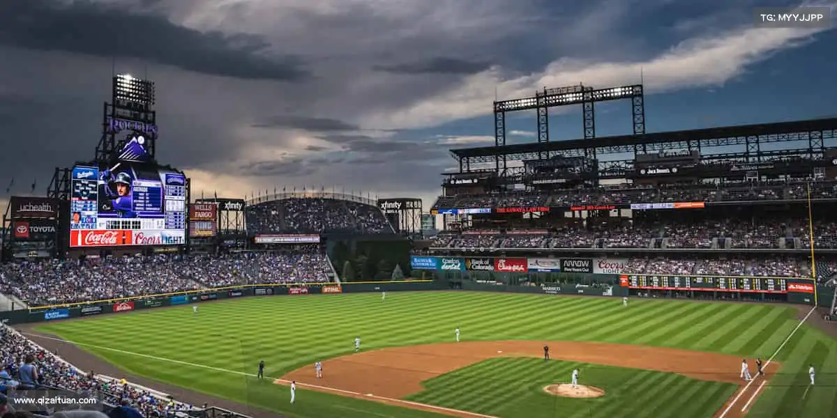 为什么选择我们